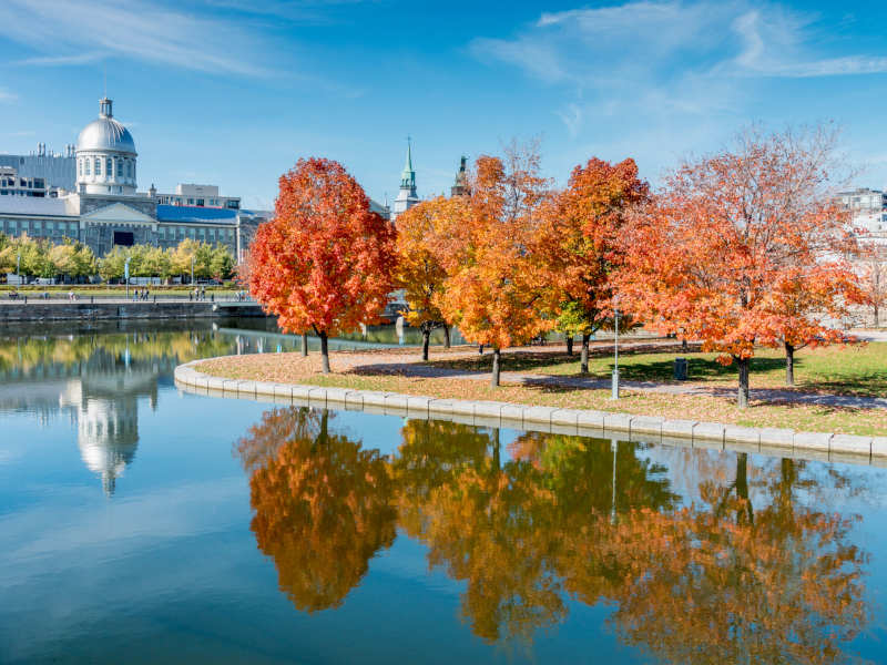 montreal bonsecours market in autumn canada