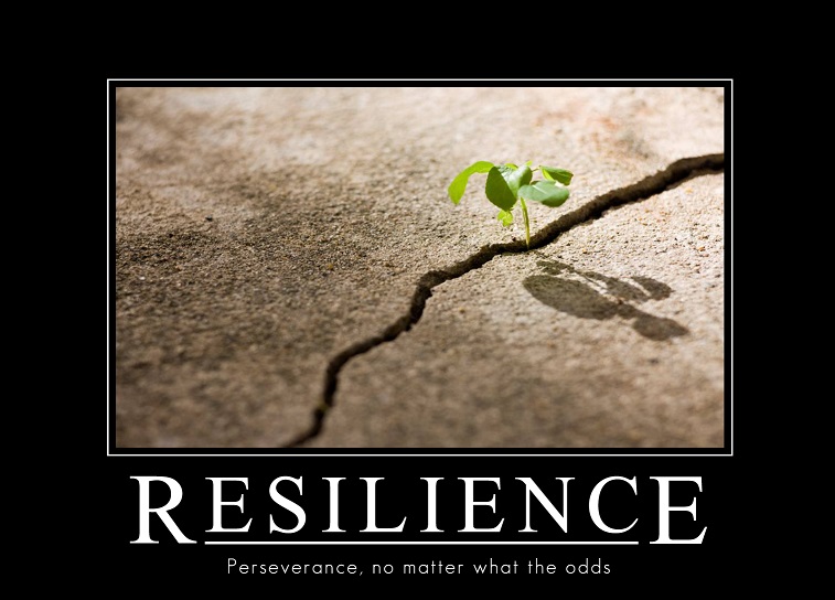 resilience