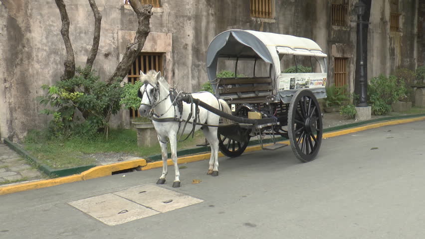 traditional horse buggy-7days in alluring mumbai-travelstart