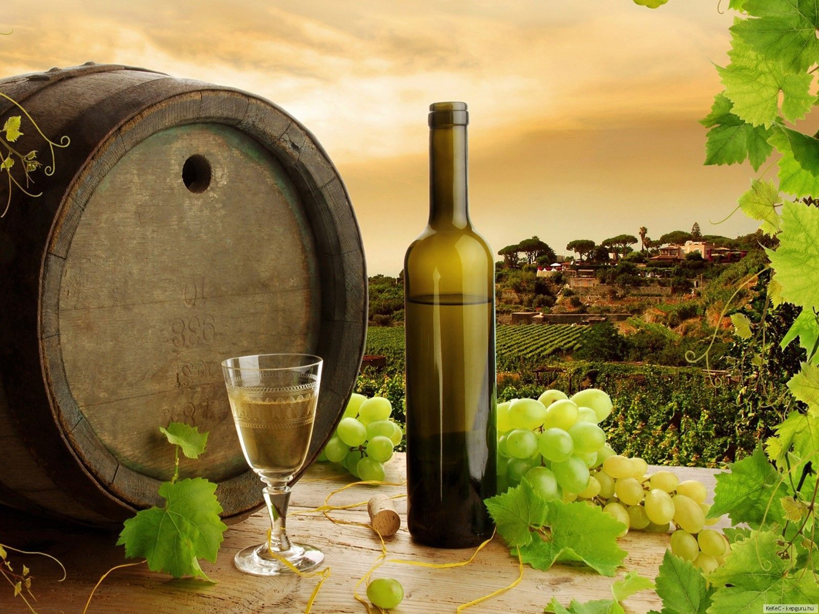 wine-travelstart