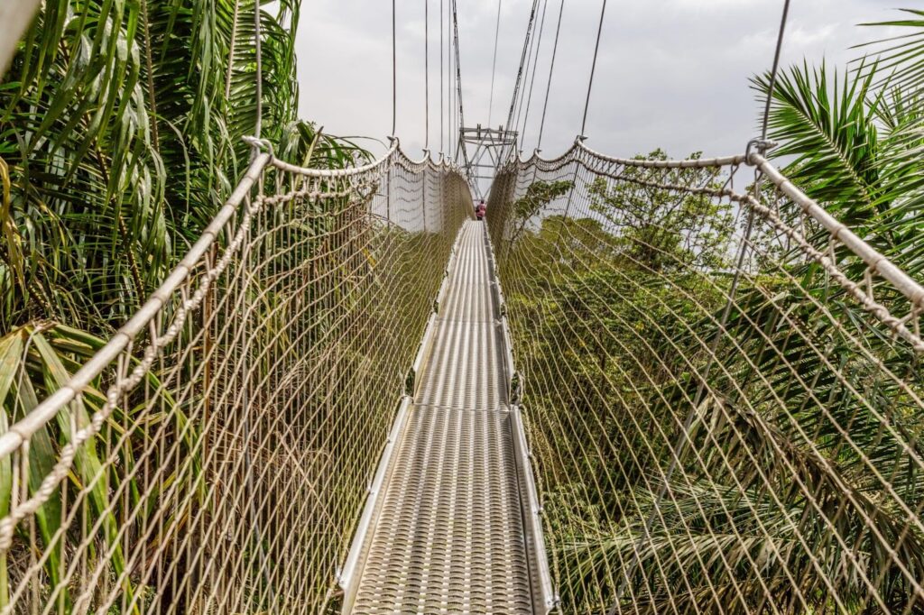 Lekki Conservation Centre canopy walkway Lagos
